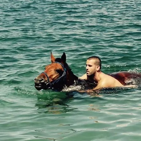 Luxury Lara With A Pool Milna (Brac)