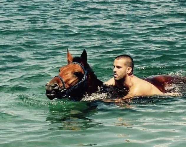 Luxury Lara With A Pool 밀나
